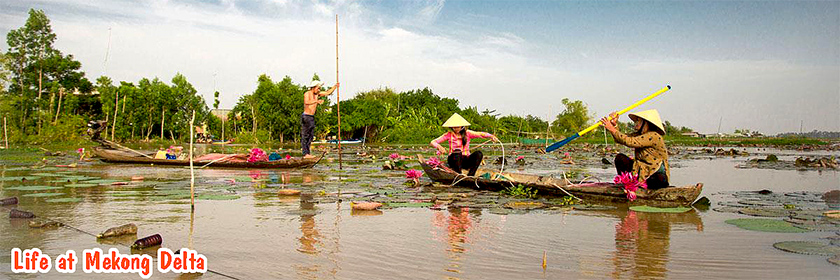 Chau Doc Ha Tien Can tho - Mekong delta tour