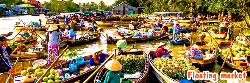Vietnam at a glance - 9 day tour crossing Vietnam