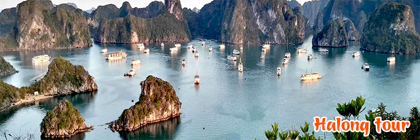 One day Halong bay tour